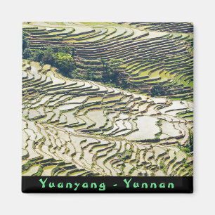Famous yuanyang Rice Terraces - Yunnan, China Magnet