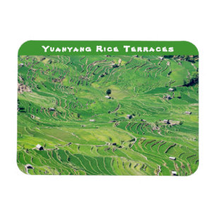 Famous yuanyang Rice Terraces - Yunnan, China Magnet