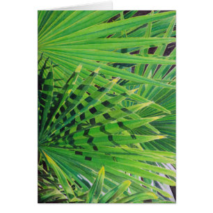 Fan Palm