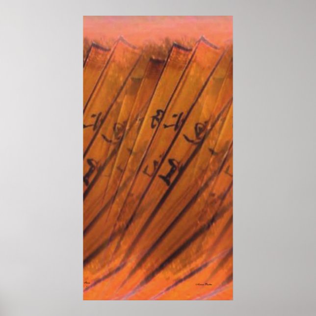 Fan-Shanzi- Poster (Front)