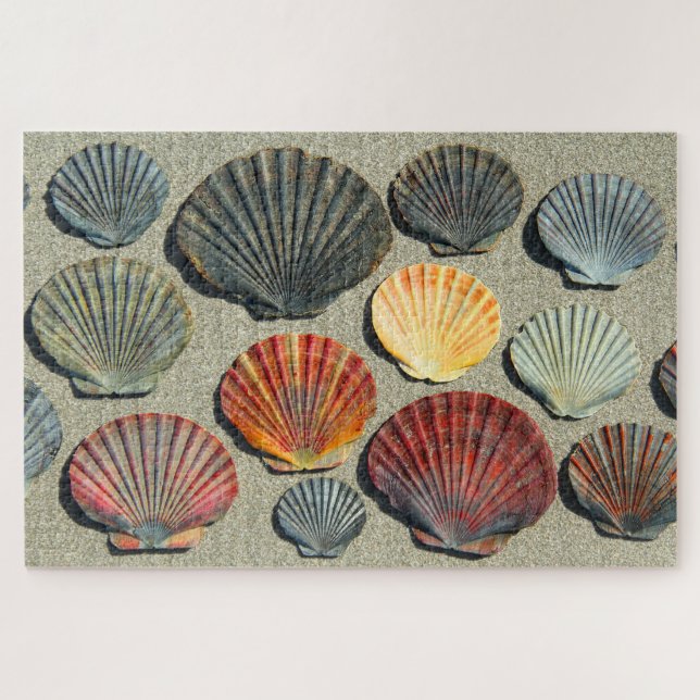 FAN SHELLS 20x30 INCH Jigsaw Puzzle (Horizontal)