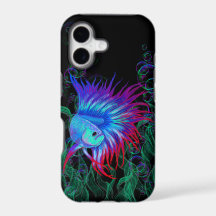 Fancy Betta Splendens Blue Teal & Red