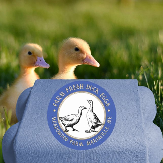 Fancy Blue Egg Carton Label Duck or Goose Eggs (Creator Uploaded)