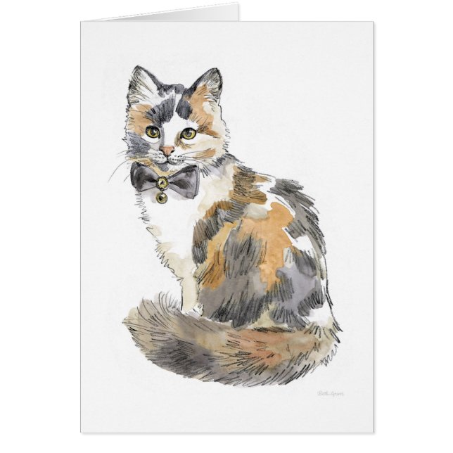 Fancy Calico Cat (Front)