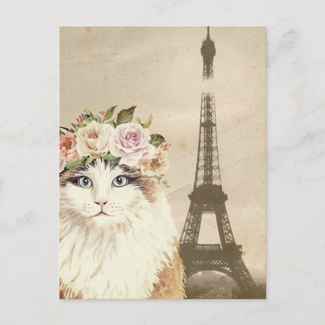Fancy Cat & Eiffel Tower Postcard (Front)