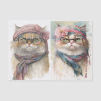 Fancy Cats