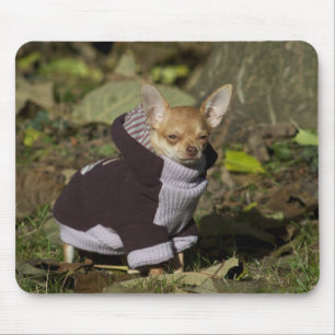 Fancy Chihuahua Mouse Pad
