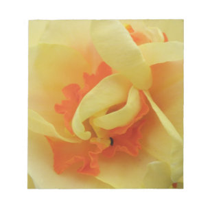Fancy Daffodil Daffodil Notepad