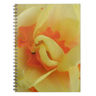 Fancy Daffodil Notebook