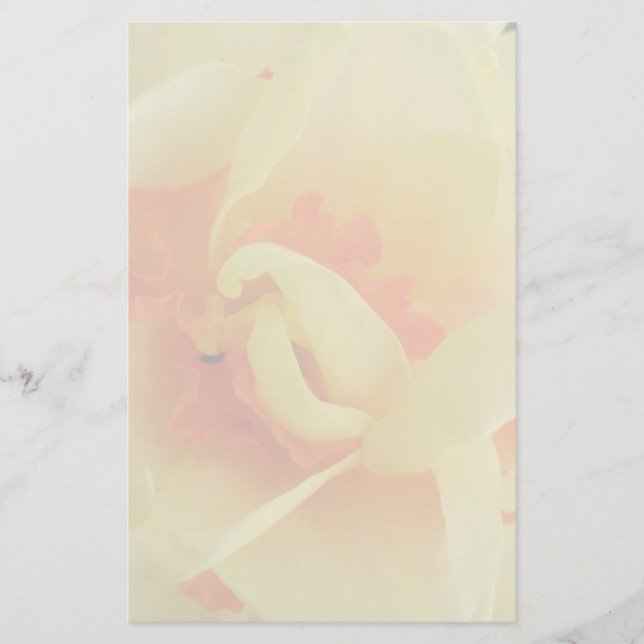 Fancy Daffodil Stationery (Front)