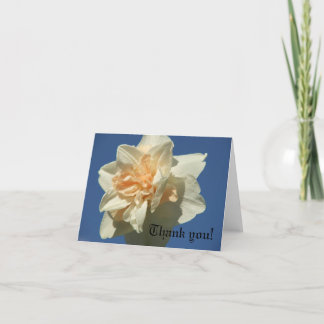 Fancy Daffodil Thank You Card