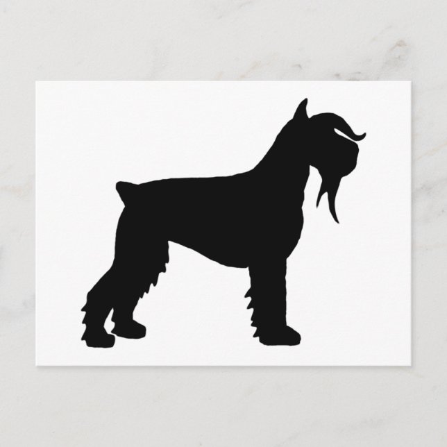 Fancy Giant Schnauzer Postcard (Front)
