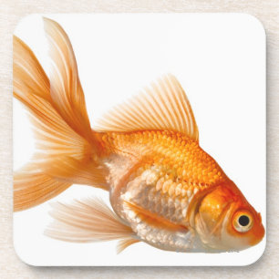 Fancy Goldfish Coaster