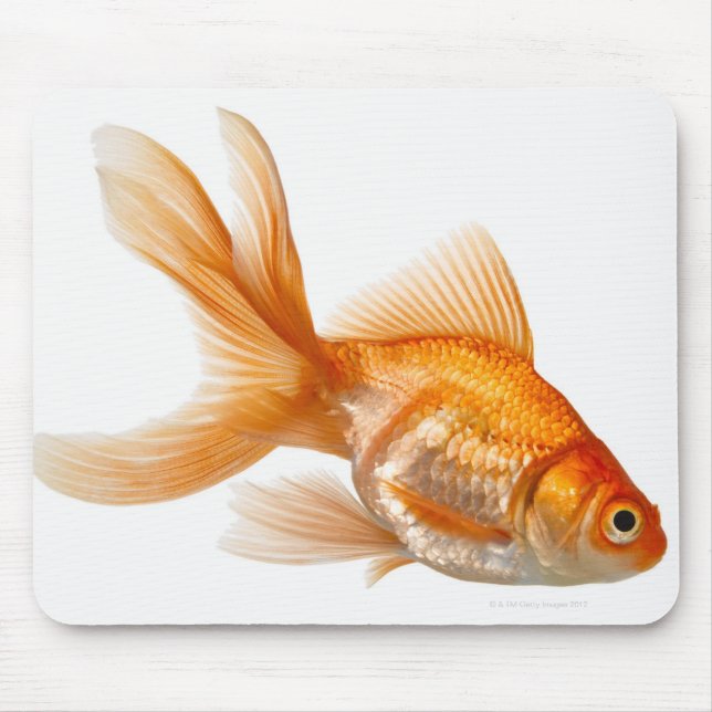 Fancy Goldfish Mouse Pad (Front)