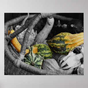 Fancy Gourds In Wicker Basket Partial Colour Poster