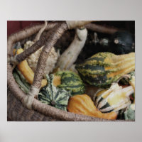 Fancy Gourds In Wicker Basket Photo Painting