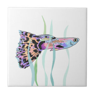 Fancy Guppy Tile