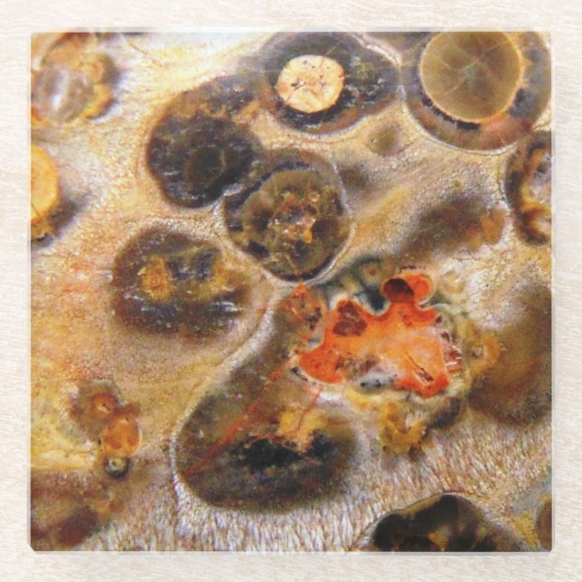 Fancy Leopard Skin Natural Rock Photo Designed Glass Coaster (Front)