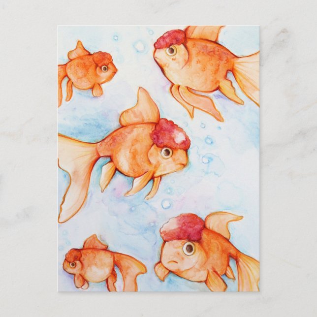 Fancy Oranda Goldfish Postcard (Front)
