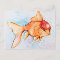 Fancy Oranda Goldfish