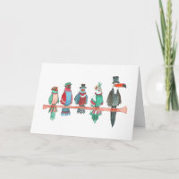 Fancy Parrots and a Silly Toucan, Blank