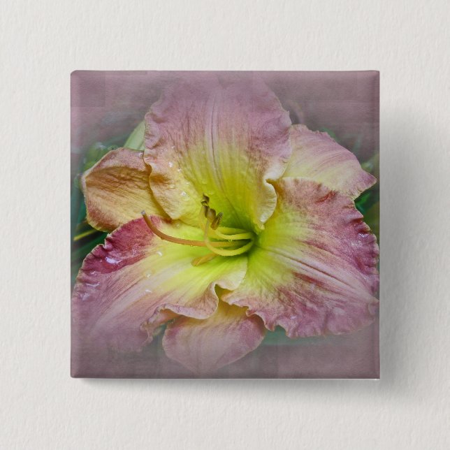Fancy Pink Daylily Blossom 15 Cm Square Badge (Front)