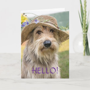 FANCY PUP - THINKING OF YOU CARD