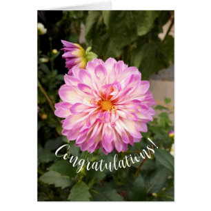 Fancy Purple and White Dahlia Congratulations Card