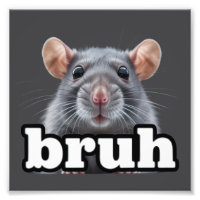 Fancy Rat Rodent Owner Meme Bruh Pet Rat Lover 