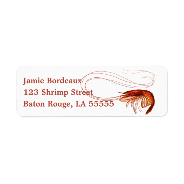 Fancy Red Shrimp on White  (Front)