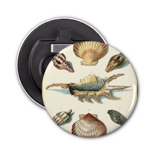 Fancy Shell Beach Bottle Opener (Front)