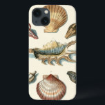 Fancy Shell Beach iPhone 13 Case<br><div class="desc">George Wolfgang Knorr is known for the delicate detail and precision of his illustrations of shells and starfish. His drawings were influenced by his own interest in science,  a popular subject matter of his era.</div>