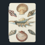 Fancy Shell Beach iPad Mini Cover<br><div class="desc">George Wolfgang Knorr is known for the delicate detail and precision of his illustrations of shells and starfish. His drawings were influenced by his own interest in science,  a popular subject matter of his era.</div>