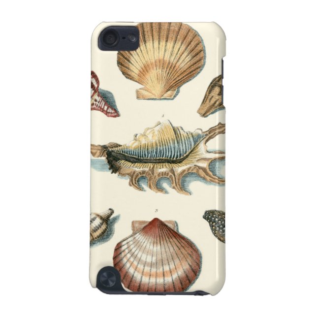 Fancy Shell Beach iPod Touch (5th Generation) Cover (Back)