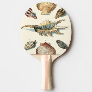 Fancy Shell Beach Ping Pong Paddle