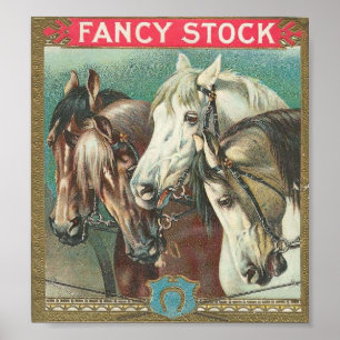 Fancy Stock Poster