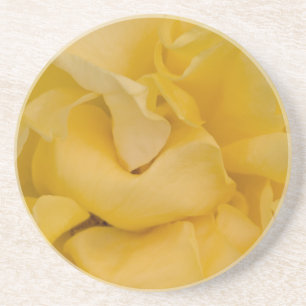 Fancy Yellow Rose Beverage Coaster