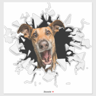 Fanny dog face sticker