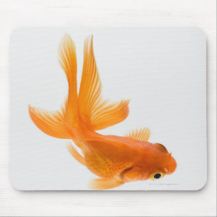 Fantail goldfish (Carassius auratus) 2 Mouse Pad