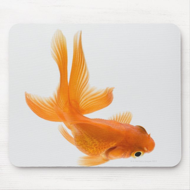 Fantail goldfish (Carassius auratus) 2 Mouse Pad (Front)