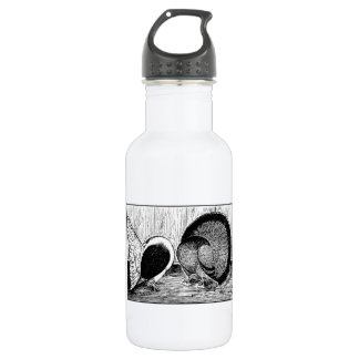 Fantail Pair 532 Ml Water Bottle