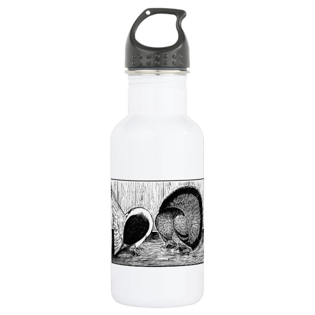 Fantail Pair 532 Ml Water Bottle (Front)