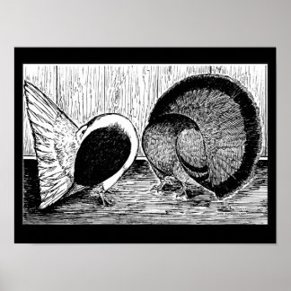 Fantail Pair Poster
