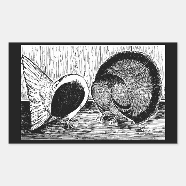 Fantail Pair Rectangular Sticker (Front)