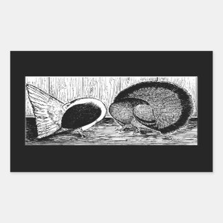 Fantail Pair Rectangular Sticker