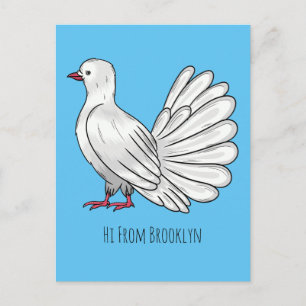 Fantail pigeon bird cartoon illustration postcard