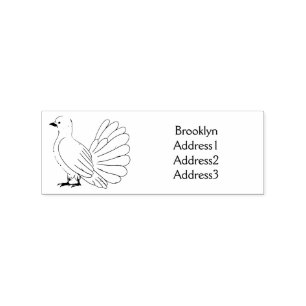 Fantail pigeon bird cartoon illustration rubber stamp