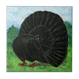 Fantail Pigeon Black Tile