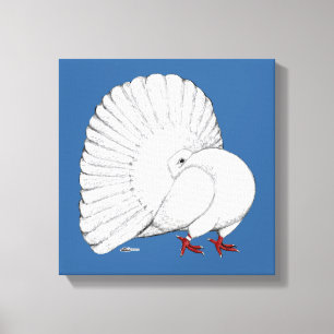 Fantail Pigeon White Canvas Print