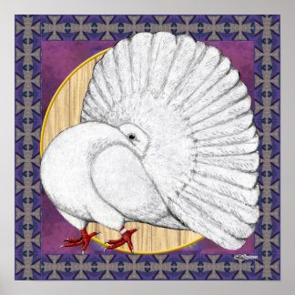 Fantail Pigeon White With Background Poster